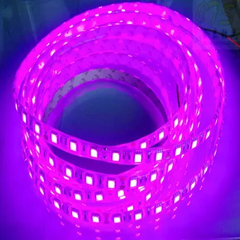 фиолетовая цветная светодиодная лента 5050 SMD 12V flexible light 60LED/m, 5m 300LED, водонепроницаемая с силиконовым покрытием; ip65; белая печатная плата